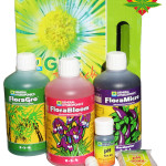 Serie GHE Flora