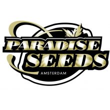 Paradice Seeds