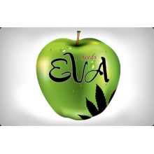 Eva Seeds