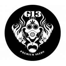 G13 Labs - Производитель семян конопли