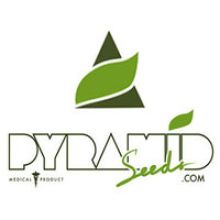 Pyramid Seeds