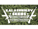 Kalashnikov Seeds