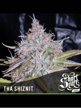 Auto Tha Shiznit - Купить Семена конопли в интернет магазине GrowerSyndicate