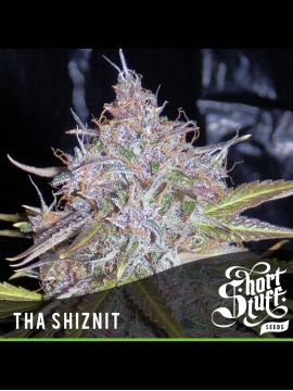 Auto Tha Shiznit