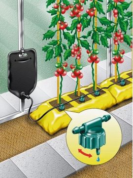 Система автополива Big Drippa (на 6 растений) - Купить Оборудование в интернет магазине GrowerSyndicate