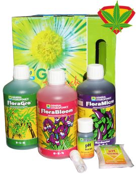 Serie GHE Flora