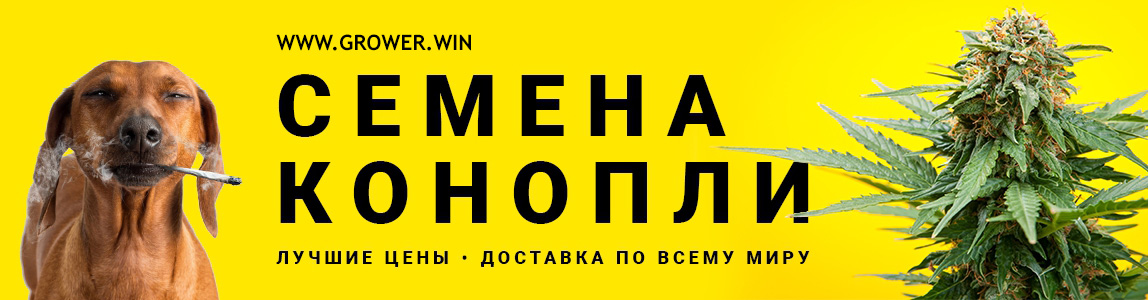 Купить семена конопли